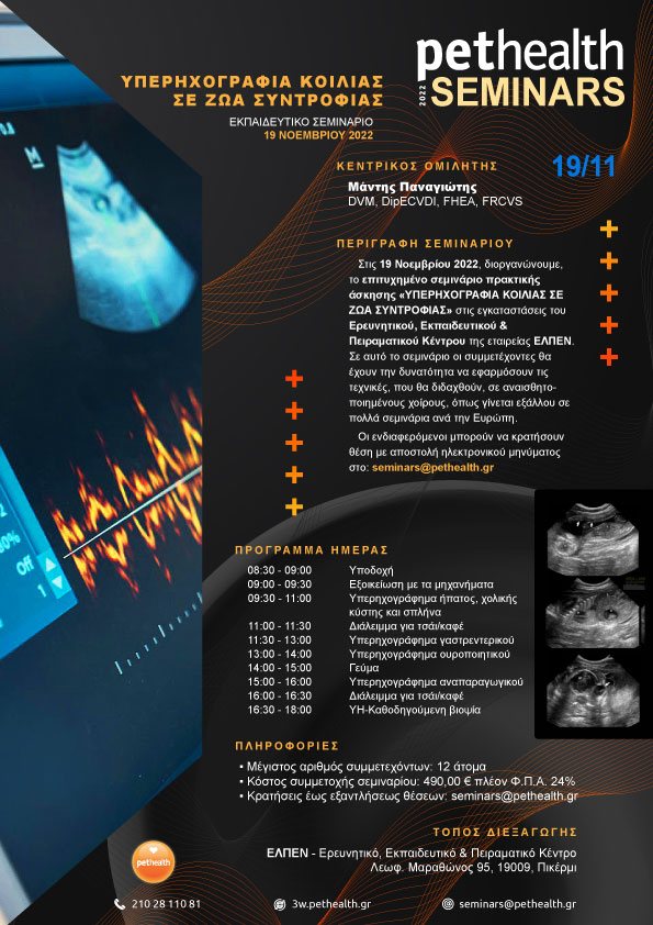 Abdominal Ultrasound in Pets