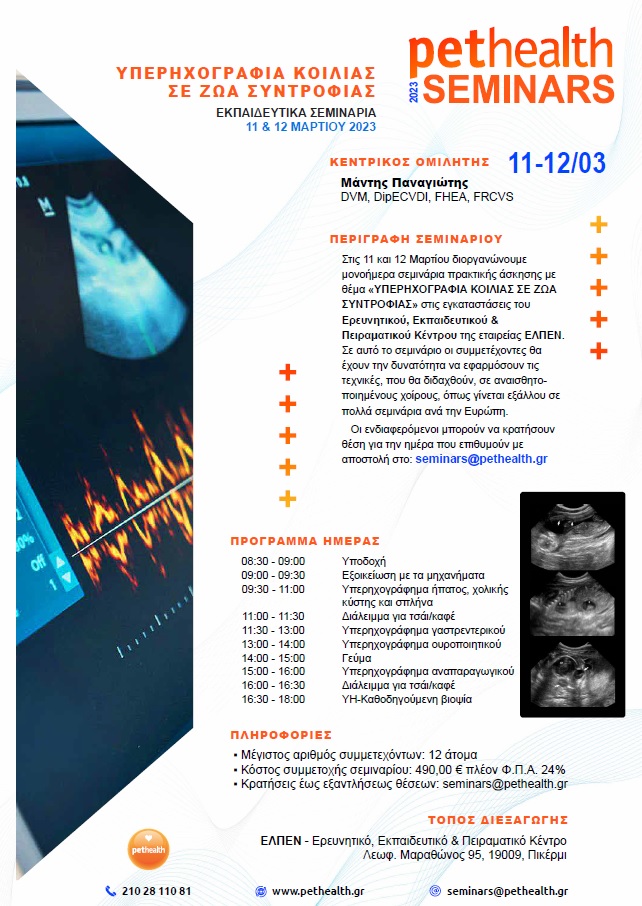 Abdominal Ultrasound in Pets